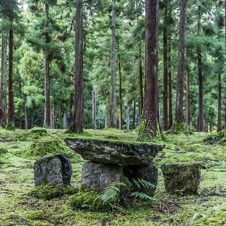 Casa Milhafre * Praia da Vitória