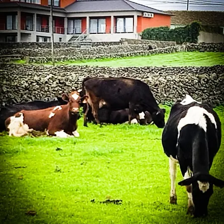 Casa Milhafre * Praia da Vitória