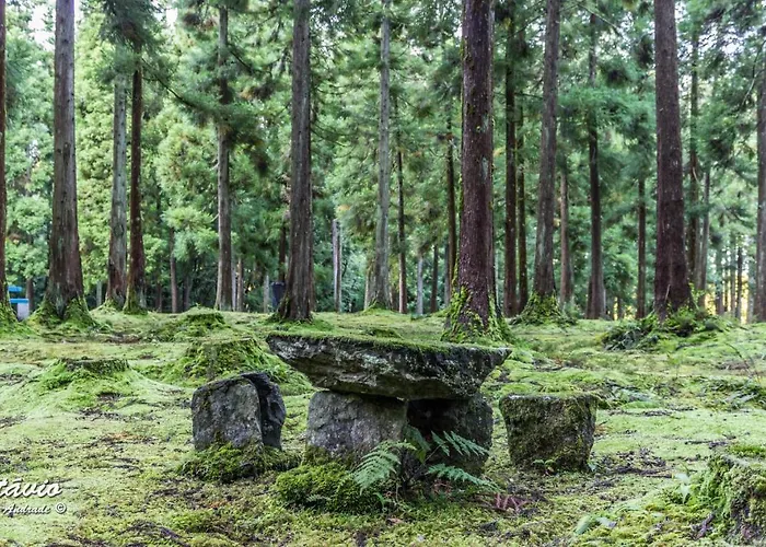 Casa Milhafre * Praia da Vitoria
