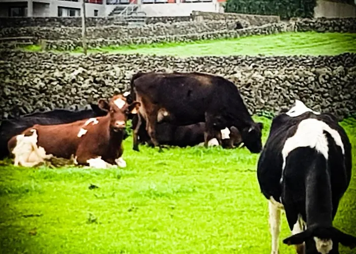 Casa Milhafre * Praia da Vitória
