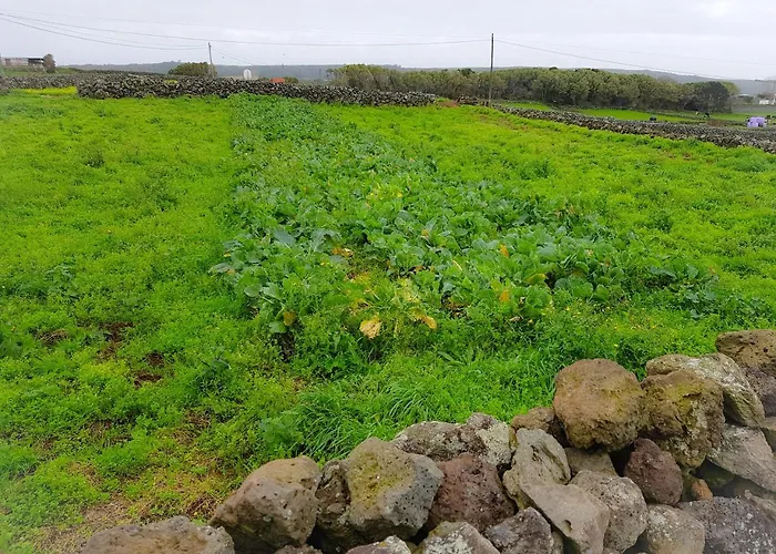 Casa Milhafre * Praia da Vitória